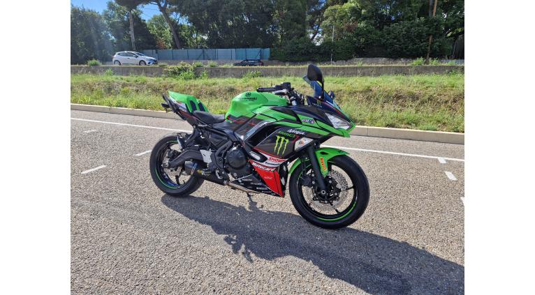 Ninja 650 WSBK