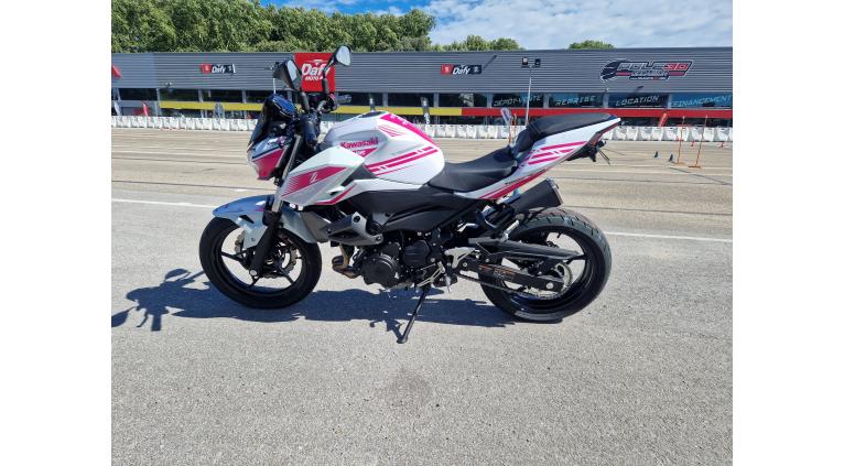 Z400 ROSE